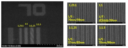 65 nm line patterns에 대한 FE-SEM 평면도