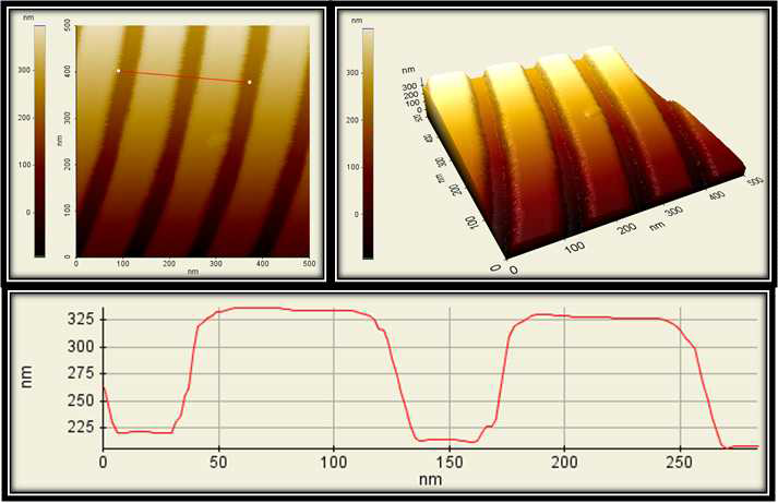 PSIA 社 SSS-NCHR 탐침으로 분석한 65 nm 1:1 L/S pattern의 AFM 결과