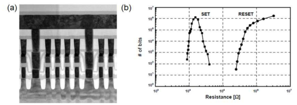 45nm급 1Gb 셀의 (a) 단면 TEM 이미지 (b) 저항 산포 특성