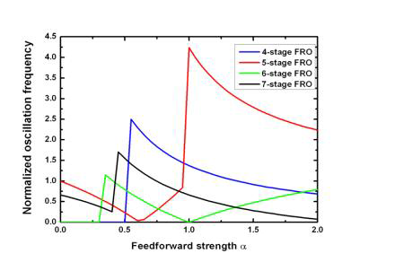 Feedforward strength 에 따른 oscillation frequency 의 변화