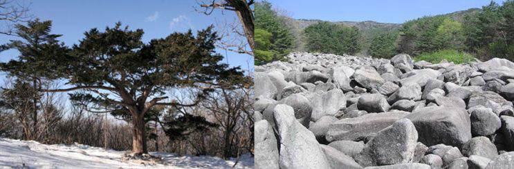 한국의 자연환경