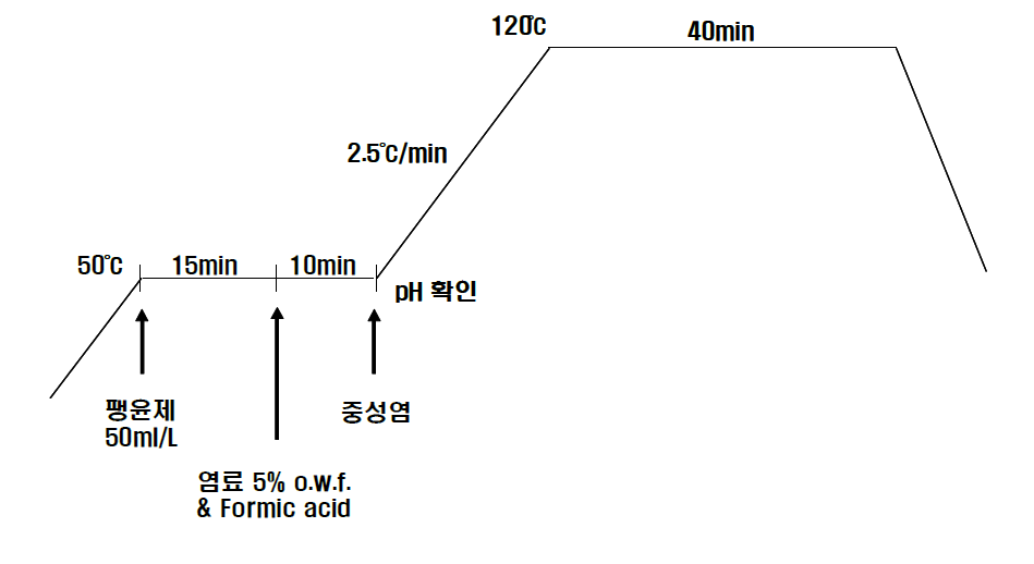 현장 시테스트 침염 공정