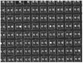 Wafer Picker Vision TEST