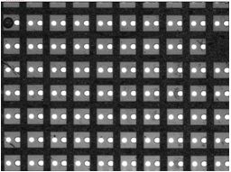 Sorting Picker Vision TEST