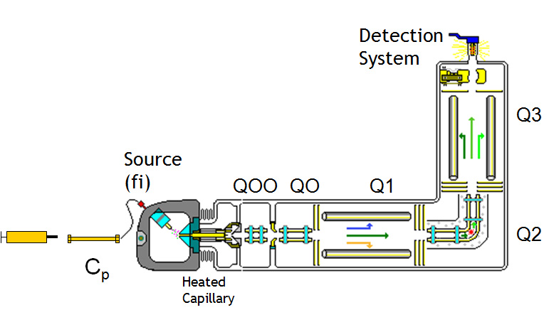 Schematic diagram of LC/MS/MS