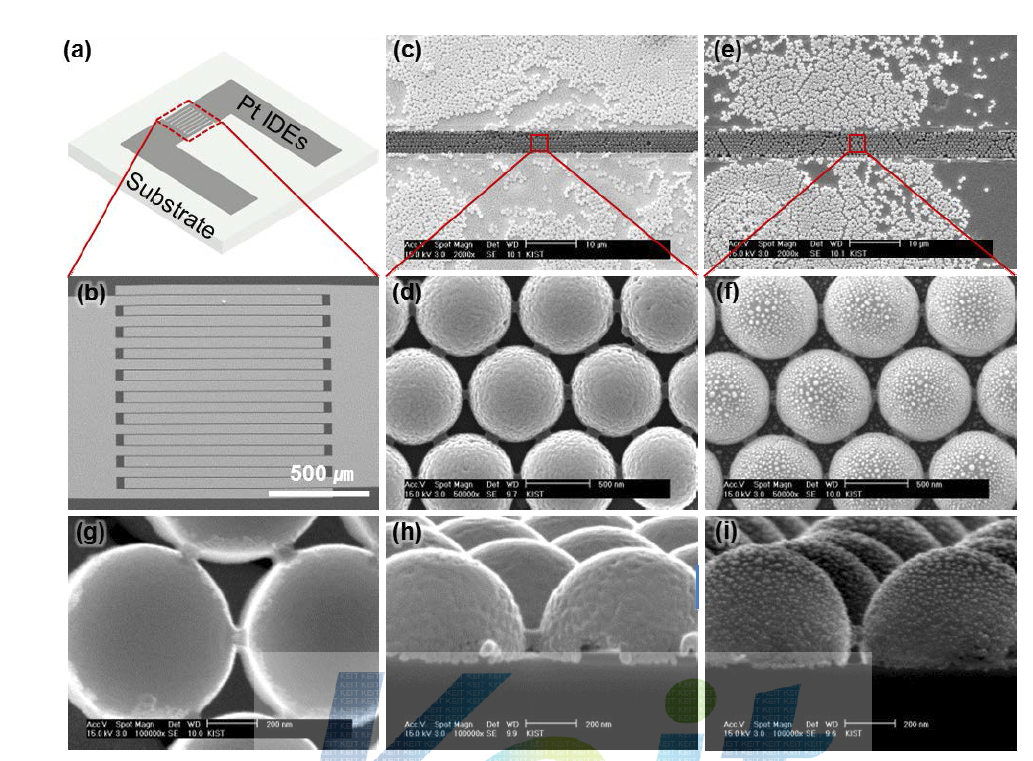 (a) 는 지지층 위의 Pt 전극의 모양의 그림. (b) 는 Pt 전극의 SEM 그림. (c) 는 나노 링크가 된 WO3 반구와 e) 는 Au 나노 입자가 장식된 WO3 반구체의 그림. (d), (f)는 (c)와 (e)의 선택된 부분의 확대 그림. (h), (i)는 (d)와 (f)를 확대한 단면 그림. (g)는 나노 링크가 된 WO3 반구체의 내면 그림.