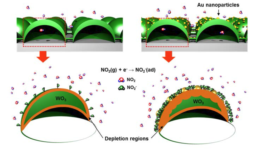 나노 링크가 된 WO3 반구체와 Au 나노 입자가 장식된 WO3 반구체의 가스 반응 상태와 공핍층의 변화를 나타내는 그림