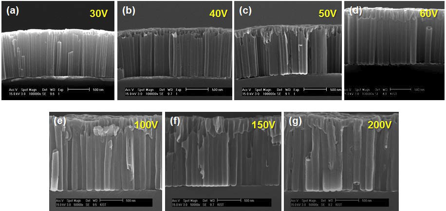 전압 조건에 따른 TiO2 나노튜브의 형상 변화의 단면 주사전자현미경 사진