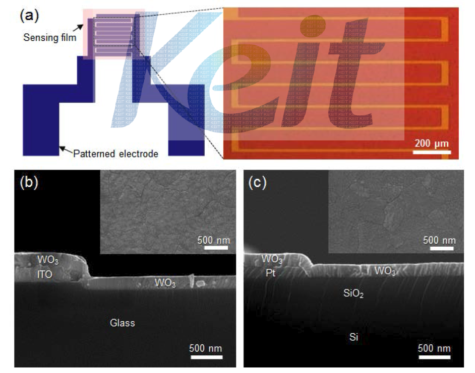 제작된 WO3 가스 센서의 광학 사진과 표면, 단면의 SEM 사진