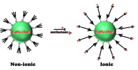 Phase transfer of CdSe/ZnS quantum dots using surfactant CTAB