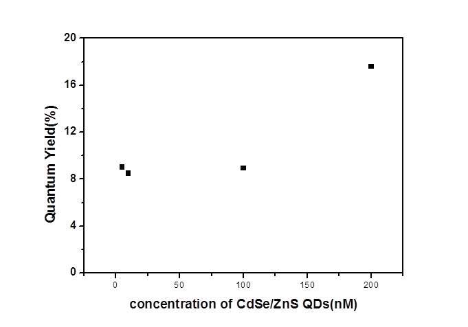 The quantum yield of the CdSe/ZnS-incoporated mesoporous silica beads as a function of CdSe/ZnS quantum dots molarity.