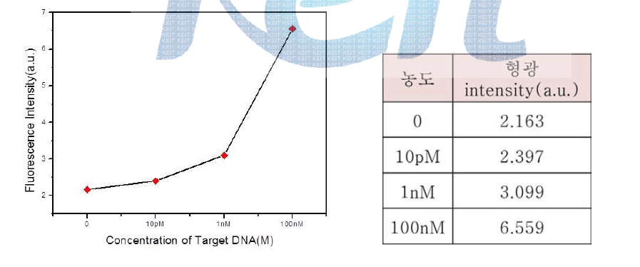 다양한 농도의 Target DNA에 대한 형광신호 의 Image J 결과 값