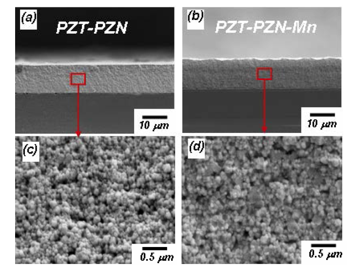 상온분사공정에 의해 제조된 (a) PZT-PZN 박막의 단면사진. (b) Mn 도핑된 PZT-PZN 박막의 단면사진, (c, d) (a,b)의 확대 단면사진.