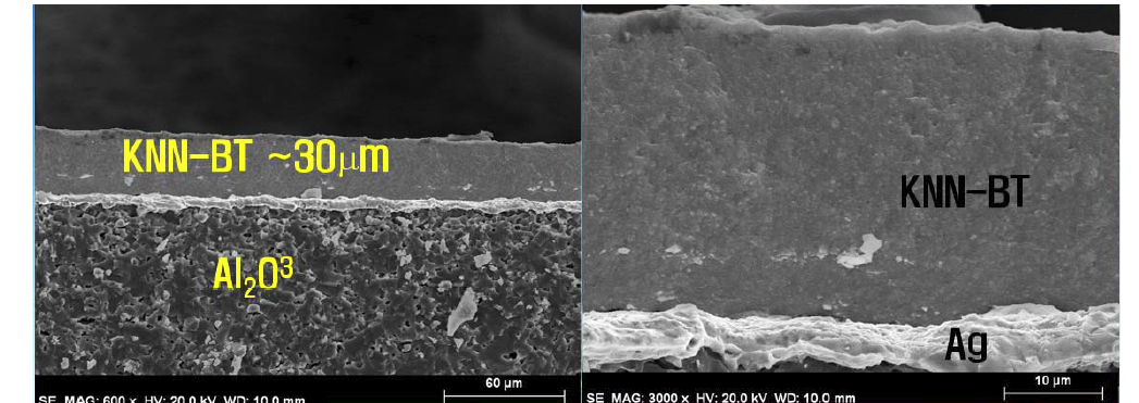 상온 분사 공정에 의해 제조된 KNN-BT 비연 압전 박막의 SEM 단면 미세구조.