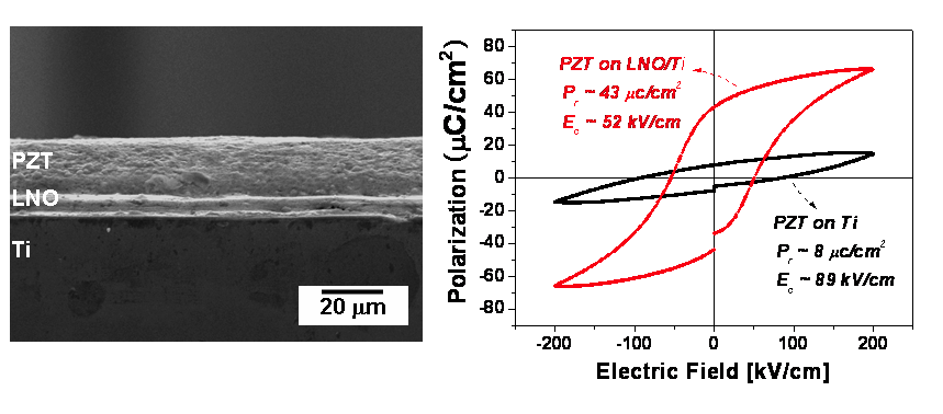 상온 진공 분사 공정에 의해 제조된 LaNiO3 산화물 전극 소재를 이용한 압전 박막의 (a) 단면 주사 전자현미경 사진과 (우) 전기장-분극 이력 곡선의 비교.