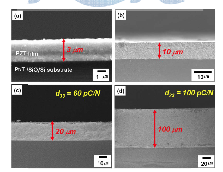 상온 분사 공정에 의해 제조된 PZT 압전 박막의 두께별 단면 주사전자 현미경 사진