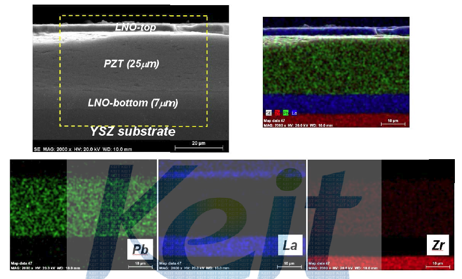 상온 분사 공정에 의한 산화물전극/압전박막/산화물전극의 2종 3층 구조 복합 박막의 단면 미세구조 사진 및 EDX mapping 결과.