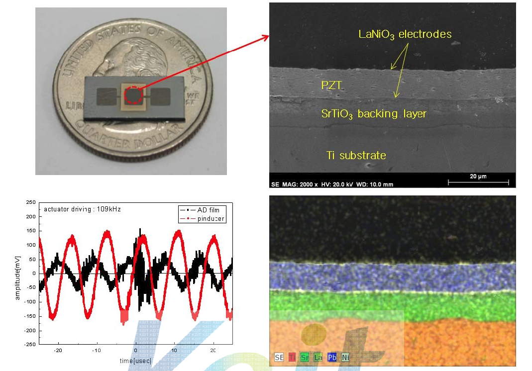 상온 분사 공정에 의해 제작된 3종 4층 압전 센서 소자의 사진, 단면 SEM 미세구조, EDS 분석 및 상용 센서와의 전압 출력 비교