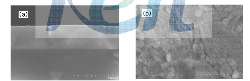스퍼터법으로 최적화된 박막의 (a) 단면 및 (b) 평면 SEM 사진.