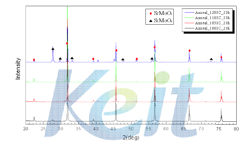 다양한 열처리 온도에서 합성한 분말의 XRD 회절 패턴.