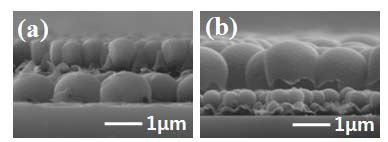 (a),(b) Side view overlapped layer of TiO2 (300nm) and TiO2 (1μm) with holloe hemisphere structure.