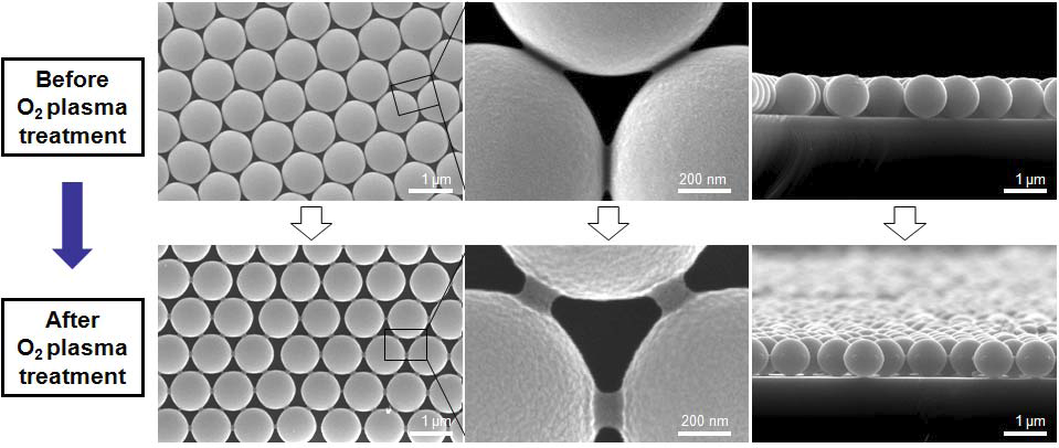 산소 플라즈마 처리에 따른 고분자 미세구형체 템플릿의 형상 변화를 관찰한 평면 및 단면 주사전자현미경 사진
