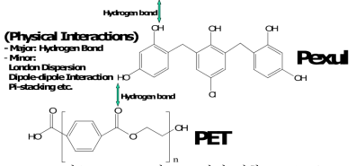 Pexul 과 PET 간의 접착 Mechanism