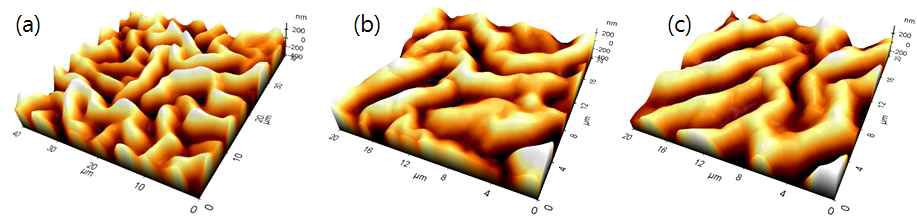 ITO층의 Buckle structure AFM 이미지