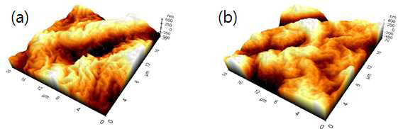 ITO층의 Buckle structure AFM 이미지