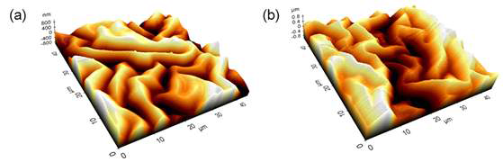 (a) ITO층 및 (b) 알루미늄층의 Buckle structure AFM 이미지