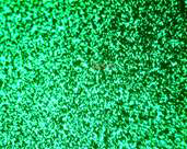녹색 OLED 발광시 표면 사진