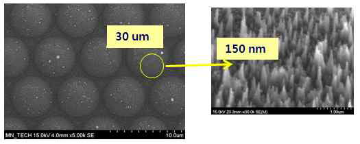 Nano-Micro 복합 Mold 미세구조