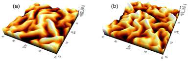 ITO층의 Buckle structure AFM 이미지