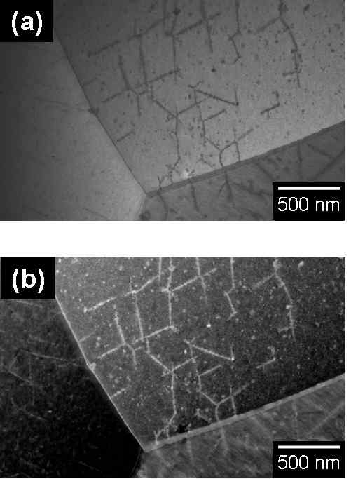 HQ 시편에서 관찰된 입내 질화물에 대한 (a) BFI (bright field image) 및 (b) HAADFI (high angle annular dark field image)