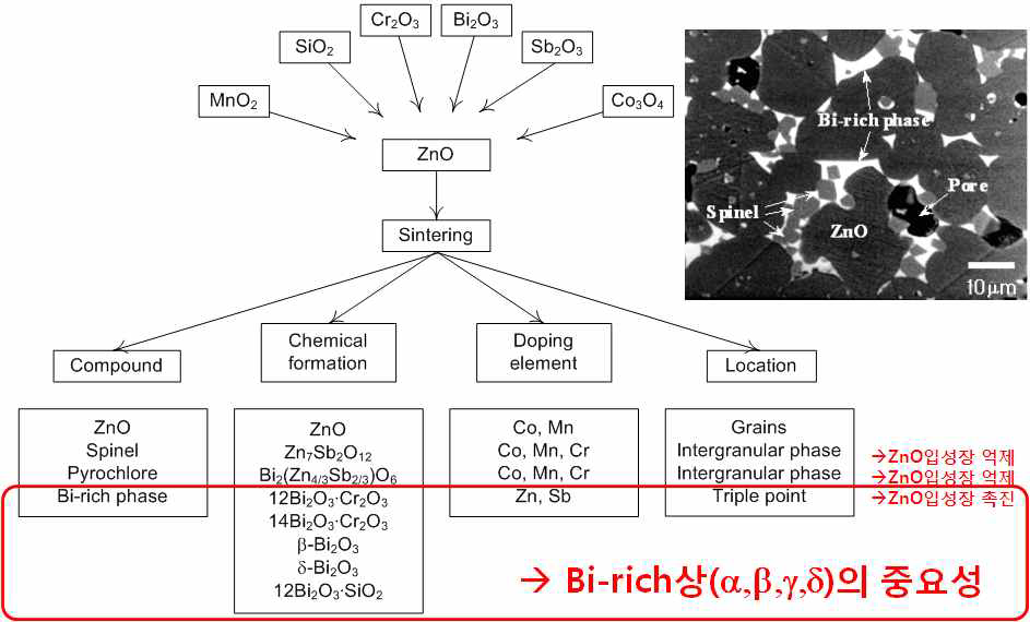 Bi-ZnO 바리스터의 전형적인 미세구조, 상생성 및 그 분포도