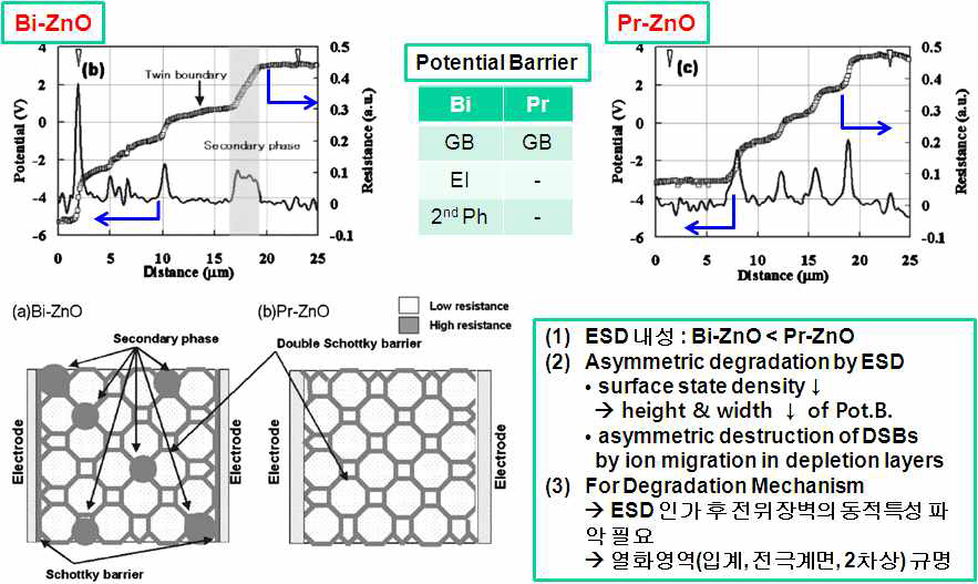 Bi-, Pr-ZnO 칩 바리스터의 전위장벽 및 저항 분포도