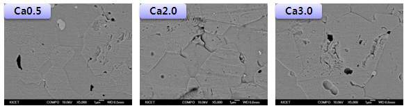 Ca 함량에 따른 Ca-ZnO 바리스터의 미세구조(1200℃, 3h)