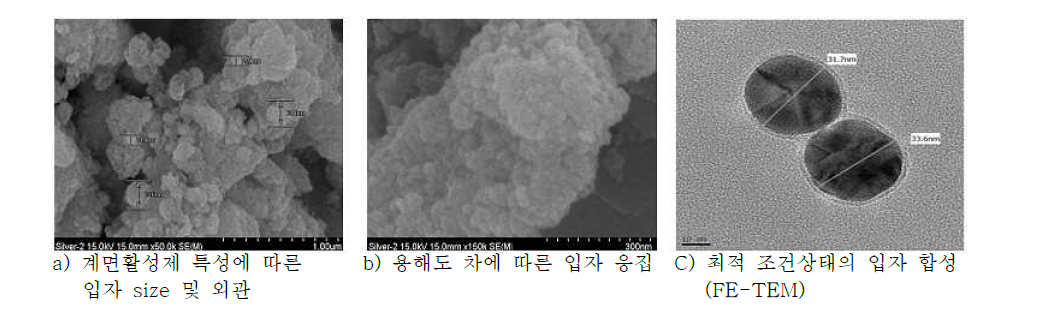 습식 합성법의 additive 및 solubility 변화에 따른 Ag nano particle 측정(TEM /SEM)