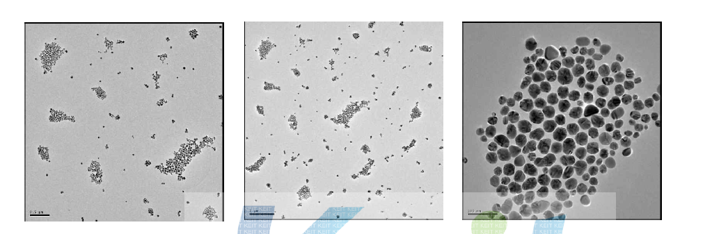 Ag nano particle FE-TEM 분석 (Scale bar : 왼쪽부터 0.5㎛, 1㎛, 100nm)