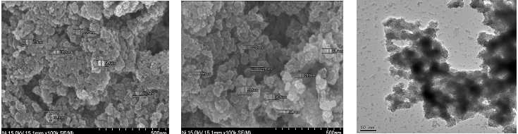 습식합성법을 통한 Ni nano particle 측정 (SEM/TEM)