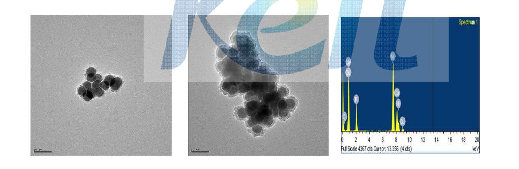 산화방지 처리된 Nicle nano particle FE-TEM, EDS 측정 분석 (Scale bar : 50nm)