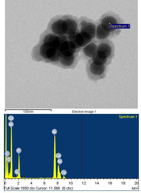 산화 방지 처리 후 니켈 나노 파우더 TEM-EDS 측정 결과