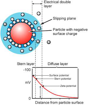 Schematic representation of zeta potential.