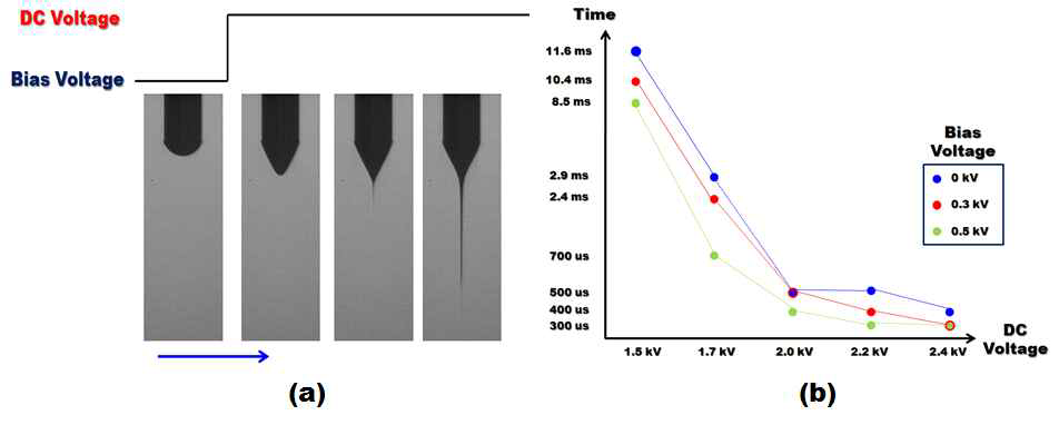 (a) 실험 방법, (b) Bias 및 DC 전압이 토출 가능한 액면 높이에 도달하기 위해 소요되는 시간과의 관계