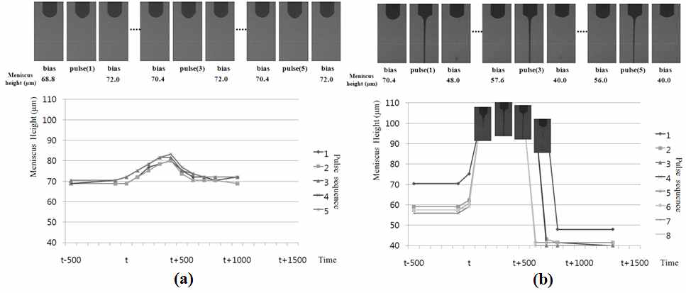 (a) 낮은 pulse 전압, 낮은 주파수에서의 액면변화, (b) 높은 pulse 전압, 낮은 주파수에서의 액면변화