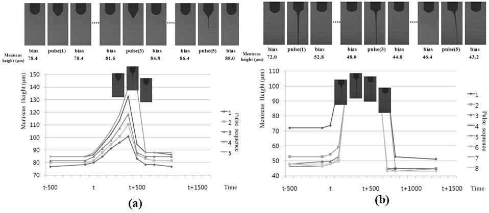 (a) 낮은 pulse 전압, 높은 주파수에서의 액면변화 (b) 높은 pulse 전압, 높은 주파수에서의 액면변화
