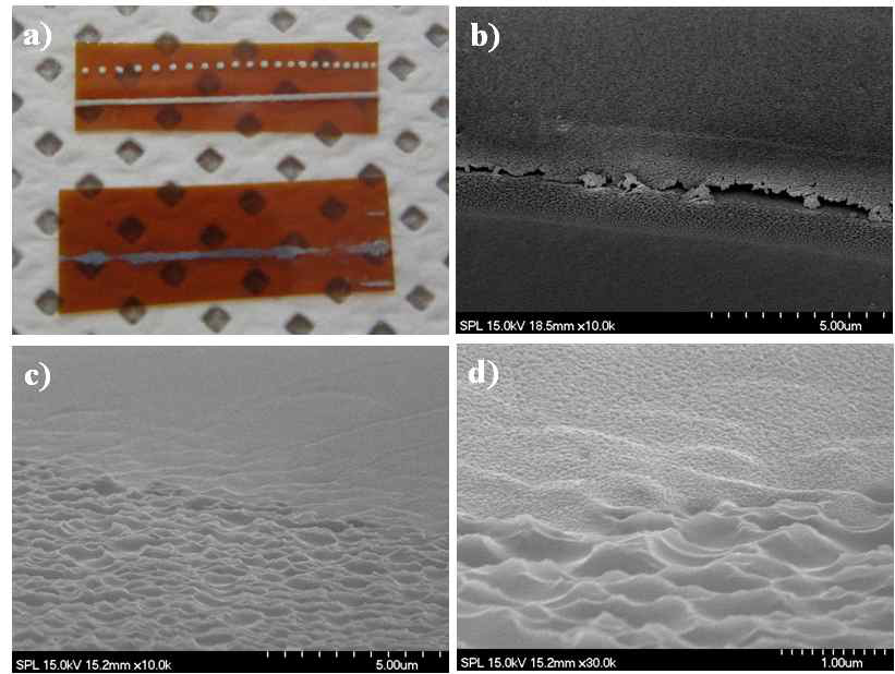 일반 PI 필름과 textured PI film의 경우 metal adhesion 비교 및 각 경우에 따른 표면 SEM image 관찰