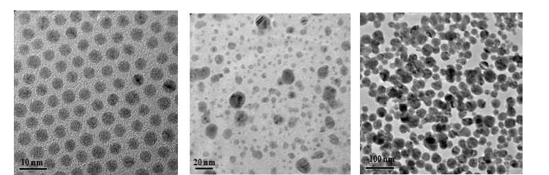 TEM image of Ag average 5 nm, 30 nm, and random Ag