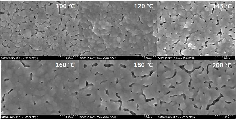 수소분위기에서 소결한 Ag 입자의 SEM image