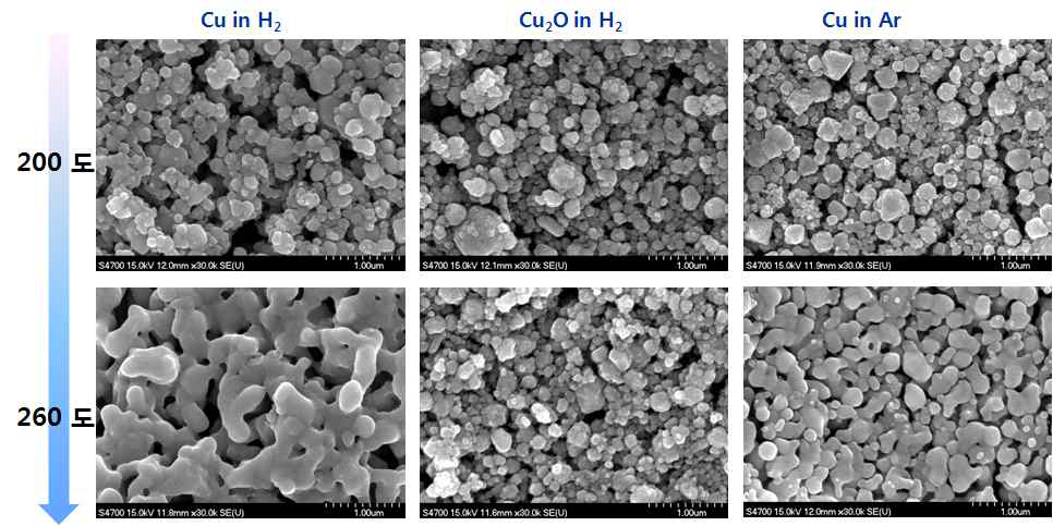 소결한 Cu입자 표면의 SEM image